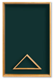 Custom Case with Green Background